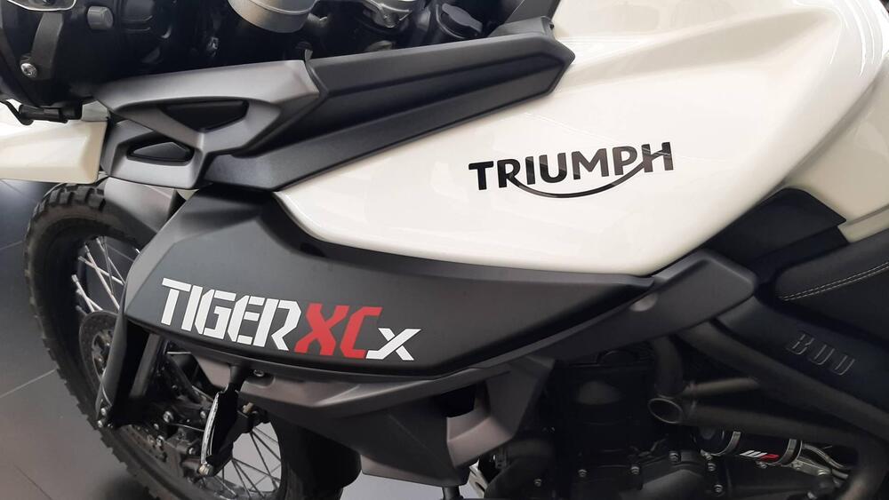 Triumph Tiger 800 XCx (2015 - 17) (3)