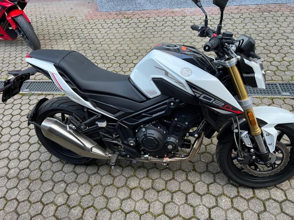 Benelli 502 C (2021 - 24) (3)