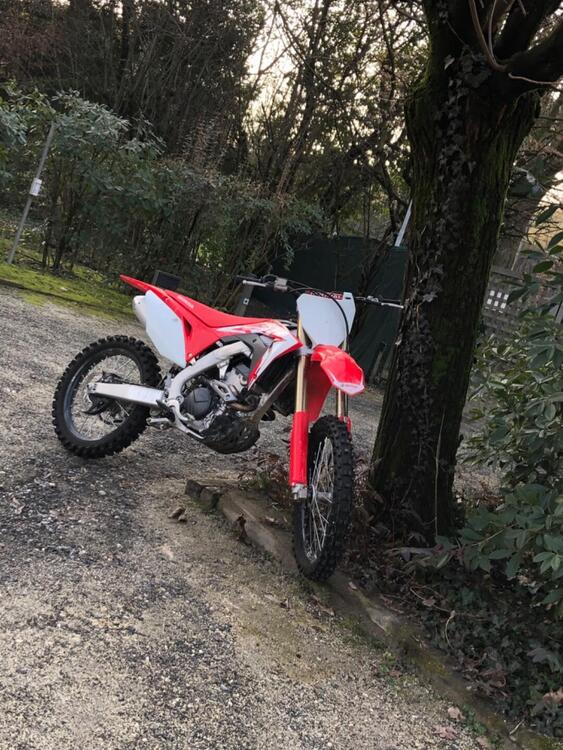 Honda CRF 250 R (2019) (4)