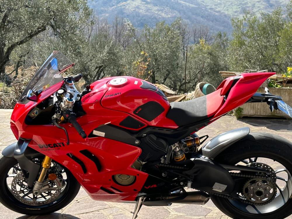 Ducati Panigale V4 (2022 - 24) (4)