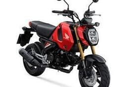 Honda MSX 125 Grom (2021 - 24) nuova