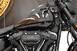 Harley-Davidson 114 Low Rider S (2021) - FXLRS (8)