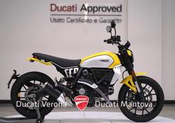 Ducati Scrambler 800 Icon (2023 - 24) usata