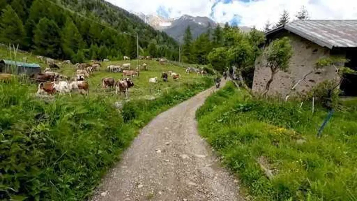 Terza tappa della HAT Series Adventourfest: Ponte Legno (71)
