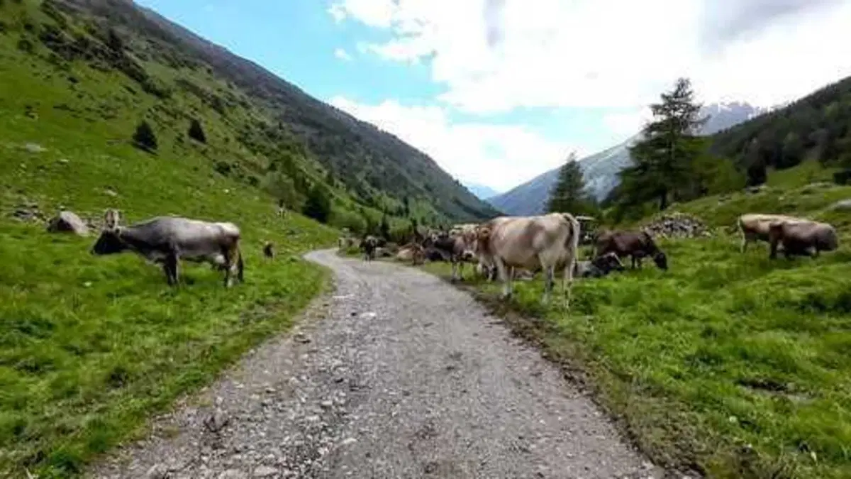 Terza tappa della HAT Series Adventourfest: Ponte Legno (74)