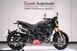 Ducati Scrambler 1100 Sport Pro (2020 - 24) (8)