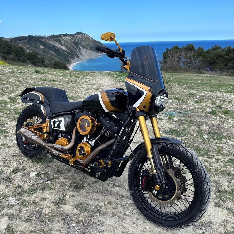 Harley-Davidson 107 Street Bob (2018 - 20) - FXBB