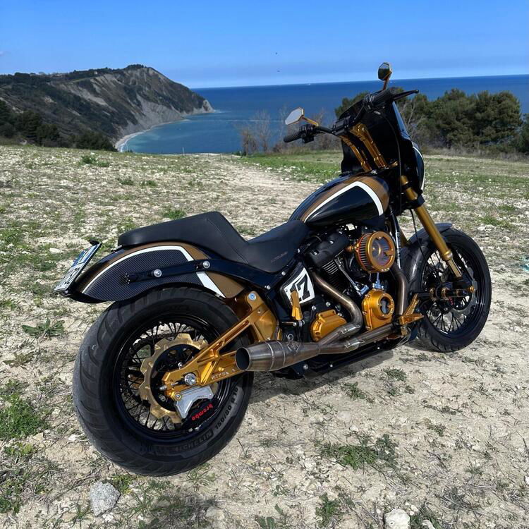 Harley-Davidson 107 Street Bob (2018 - 20) - FXBB (2)