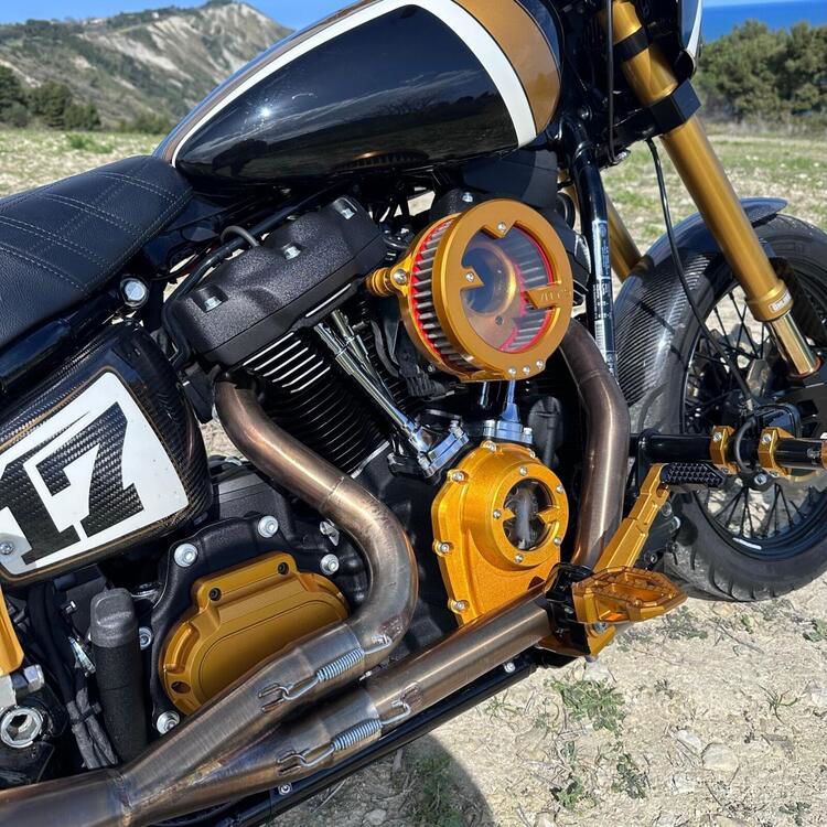 Harley-Davidson 107 Street Bob (2018 - 20) - FXBB (3)