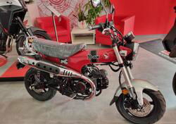 Honda Dax 125 (2023 - 24) nuova