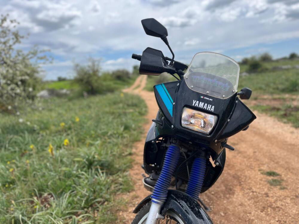 Yamaha XTZ 660 Téneré (1991 - 98) (5)