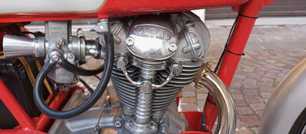 Ducati  DUCATI 250 MARK3 1969 (5)