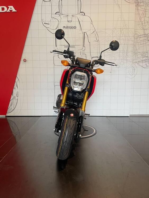 Honda MSX 125 Grom (2021 - 24) (4)