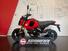 Honda MSX 125 Grom (2021 - 24) (6)