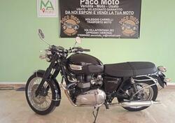 Triumph Bonneville T100 (2008 - 16) usata