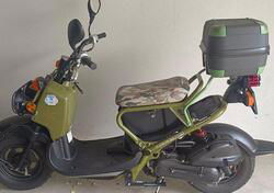 Honda Zoomer usata