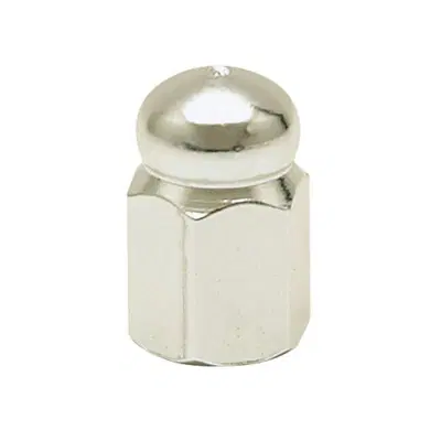 Tappini valvola Hex Domed argentati Trik Topz 