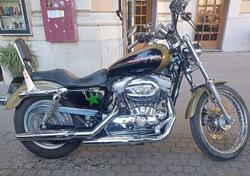 Harley-Davidson 883 Custom (2006 - 07) - XL 883C usata