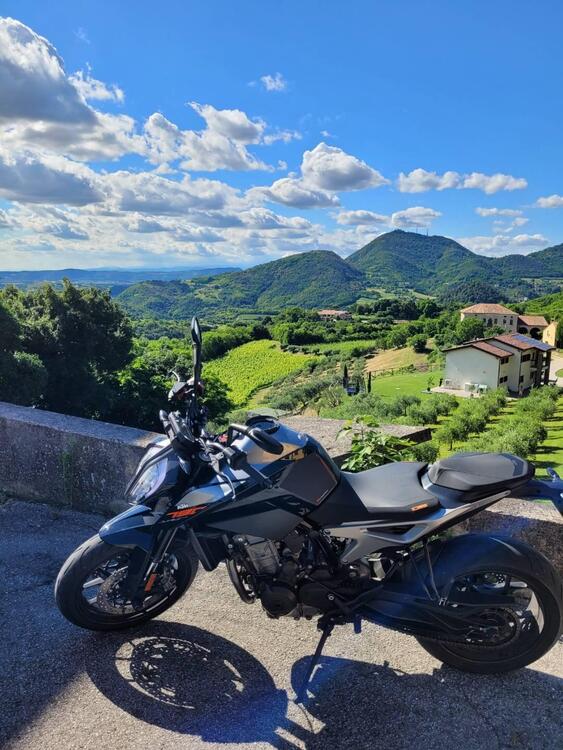 KTM 790 Duke (2018 - 20) (2)