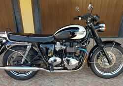 Triumph Bonneville T100 (2008 - 16) usata