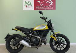 Ducati Scrambler 800 Icon (2015 - 16) usata