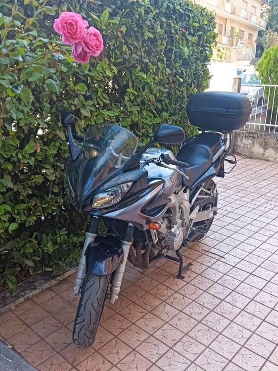 Yamaha FZS 600 Fazer (2002 - 03)