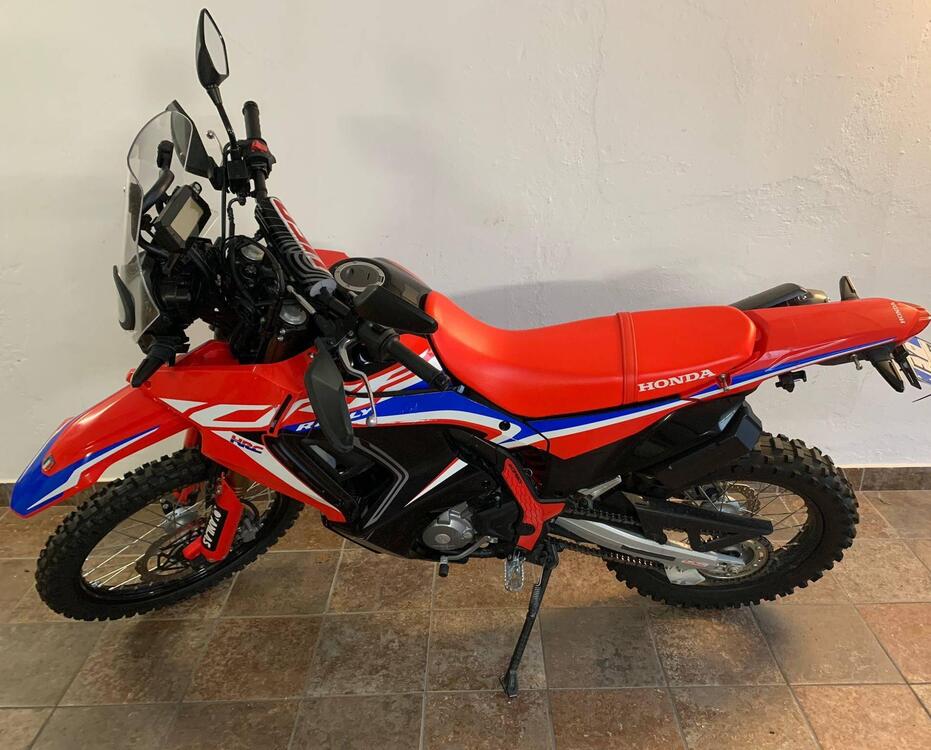 Honda CRF 300 Rally (2021 - 24) (4)