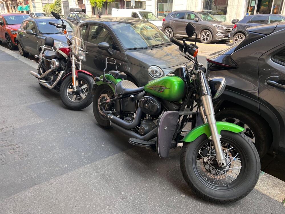 Harley-Davidson 107 Slim (2018 - 20) - FLSL (2)