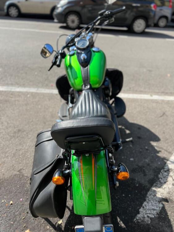 Harley-Davidson 107 Slim (2018 - 20) - FLSL (5)