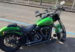 Harley-Davidson 1690 Slim (2011 - 16) - FLS usata