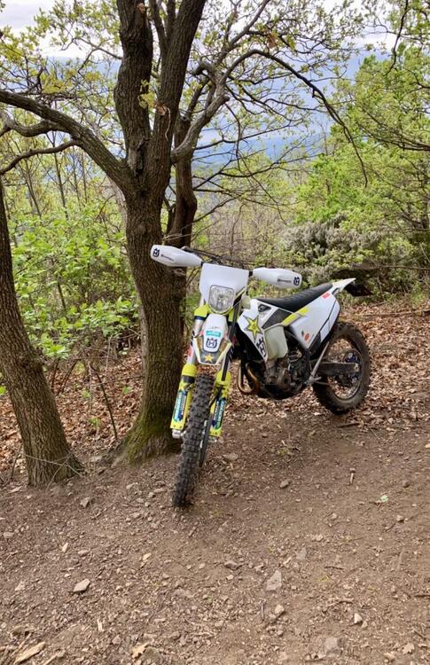 Husqvarna FE 350 Rockstar Edition (2021) (3)