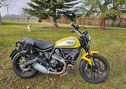 Ducati Scrambler 800 Icon (2017 - 2020) usata