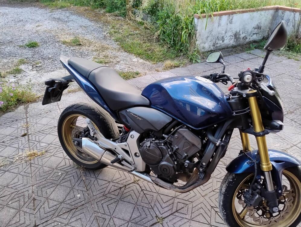 Honda Hornet 600 (2011 - 13) (2)