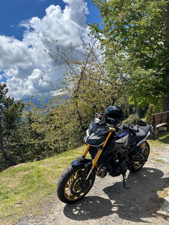 Yamaha MT-09 SP (2018 - 20) (3)