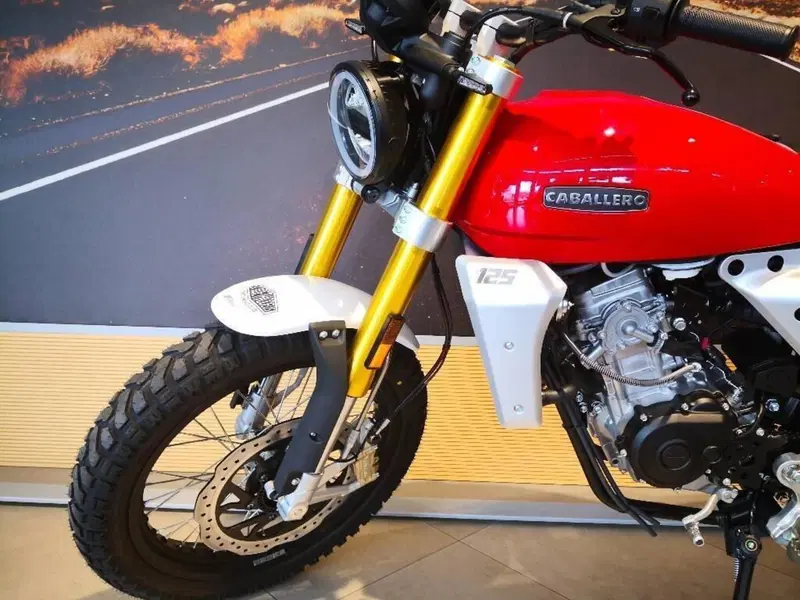 Fantic Motor Caballero 125 Scrambler (2025 - 26) (10)