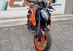 KTM 390 Duke (2024) usata