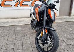 KTM 790 Duke L (2023 - 24) usata