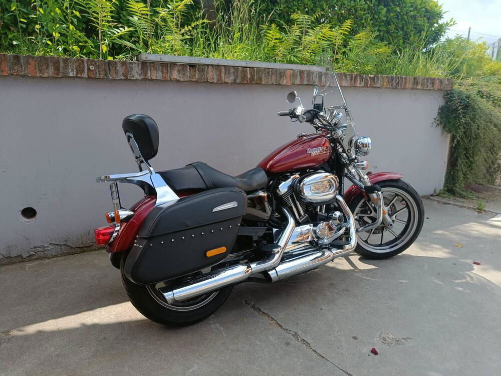 Harley-Davidson 1200 SuperLow (2014 - 16) - XL 1200T (2)