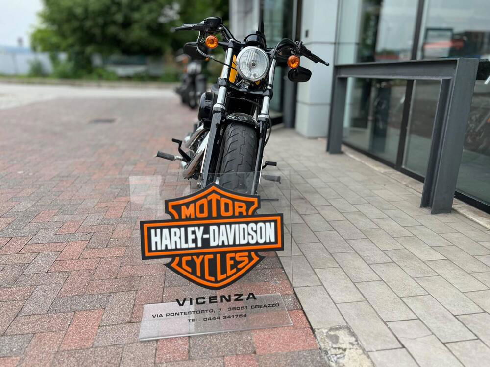 Harley-Davidson 1200 Forty-Eight (2010 - 15) (3)