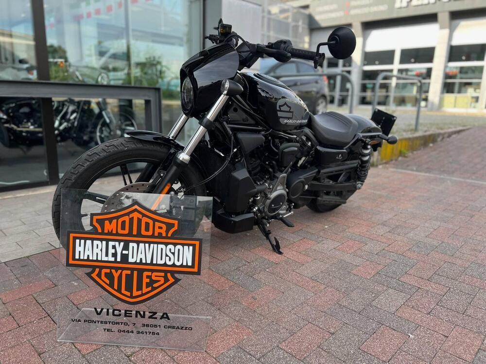 Harley-Davidson Nightster (2023 - 24) (2)