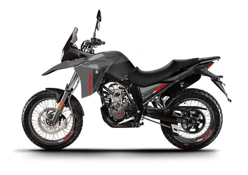Malaguti Dune 125 Dune 125 (2021 - 26) (6)