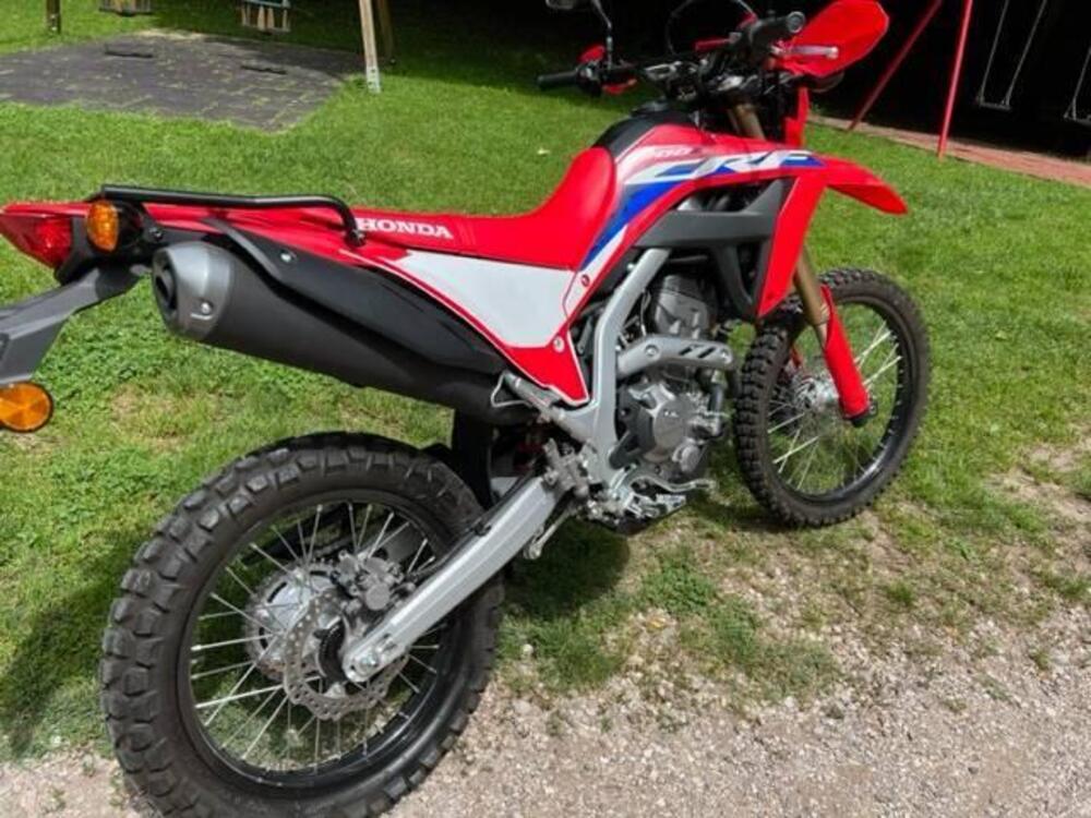 Honda CRF 300 L (2021 - 24) (4)