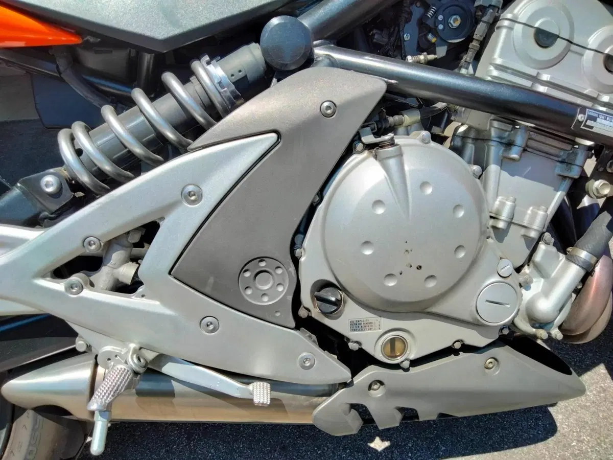 Kawasaki ER-6N (2006 - 09) (10)
