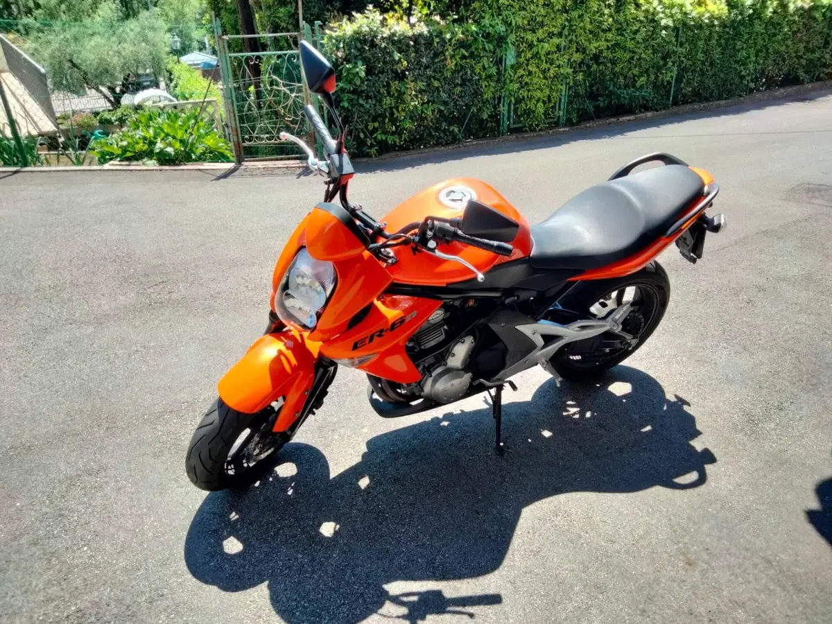 Kawasaki ER-6N (2006 - 09) (2)