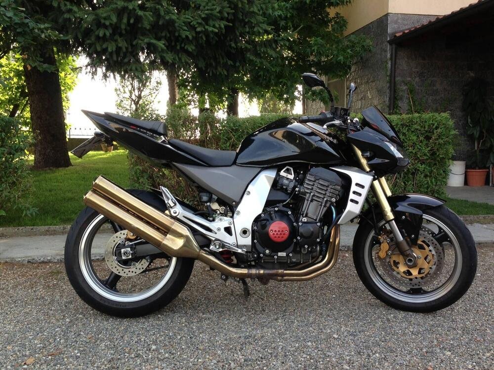 Kawasaki Z 1000 (2003 - 06) (5)