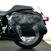 Harley-Davidson 1584 Super Glide Custom (2007) - FXDC (15)