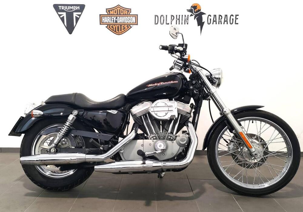 Harley-Davidson 883 Custom (2001 - 05) - XL 53C (2)