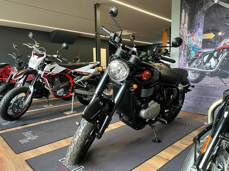 Bsa Gold Star 650 (2024 - 26) (5)