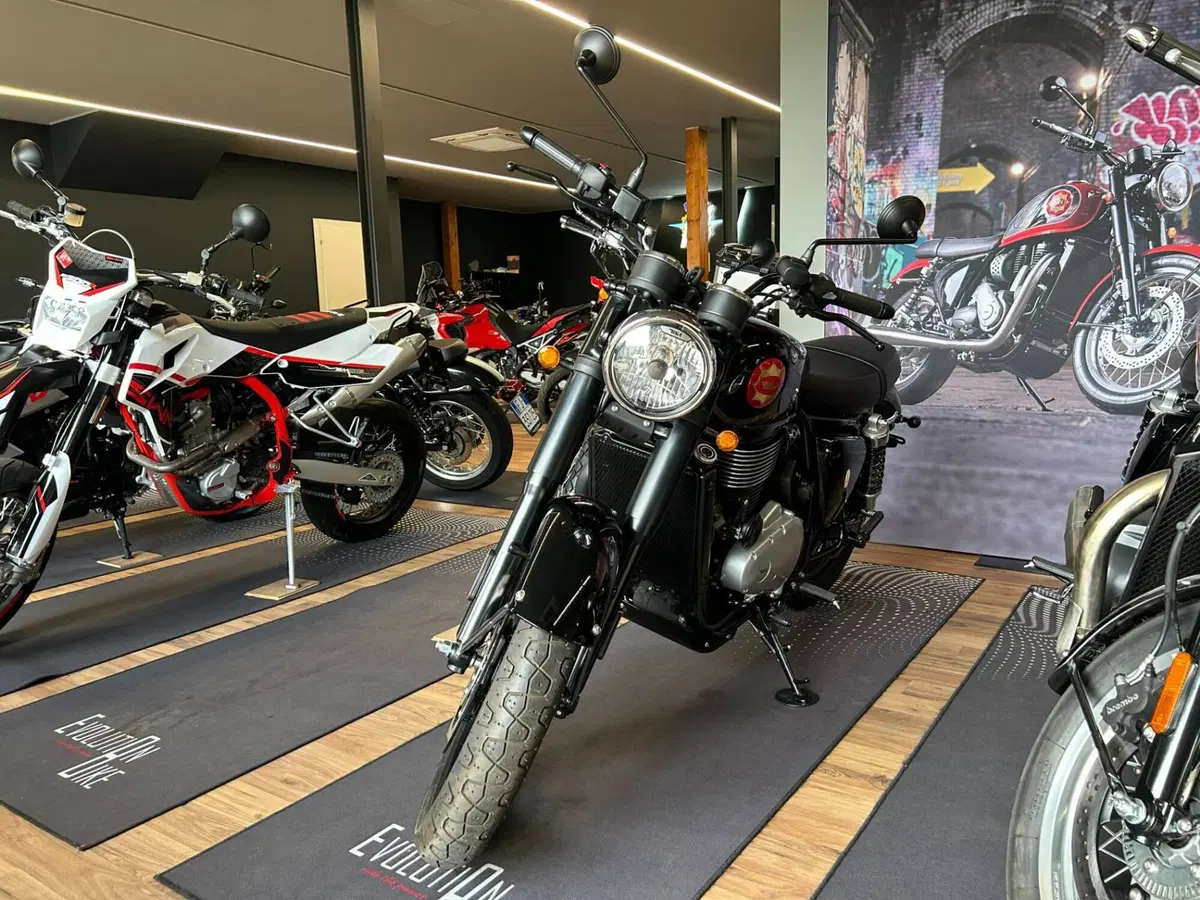 Bsa Gold Star 650 (2024 - 26) (6)