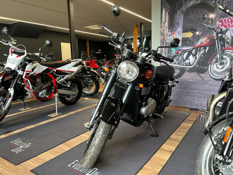 Bsa Gold Star 650 (2024 - 26) (6)